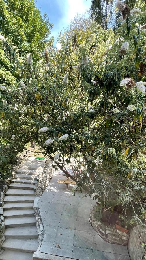 Appartamento Au Jardin De La Basilique Boulogne-sur-Mer Esterno foto
