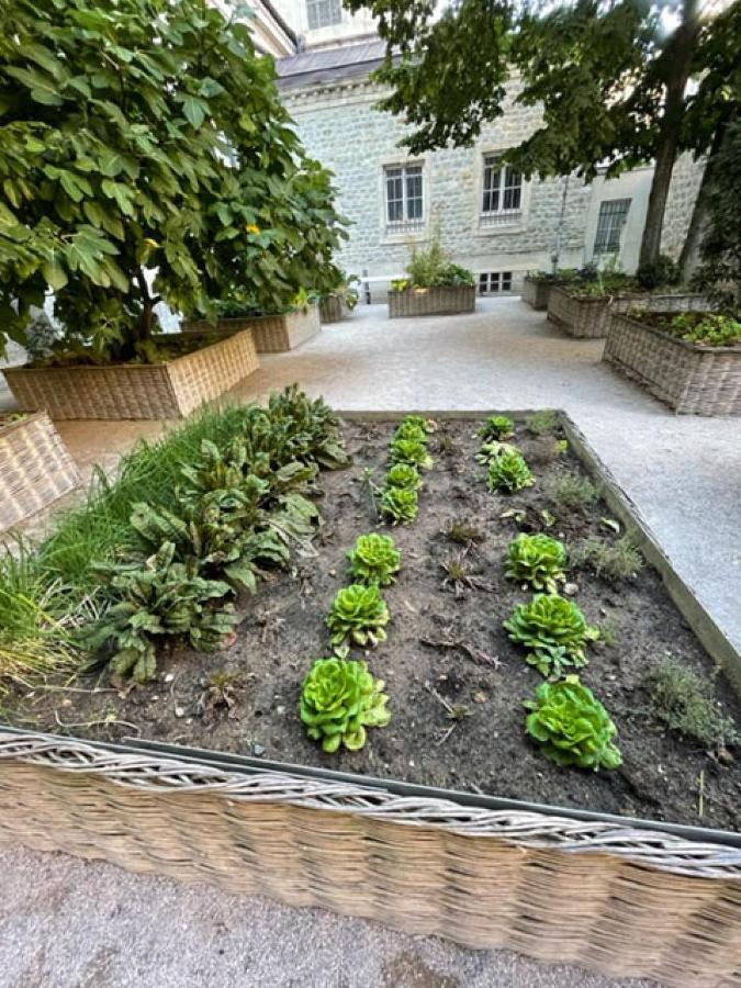 Appartamento Au Jardin De La Basilique Boulogne-sur-Mer Esterno foto