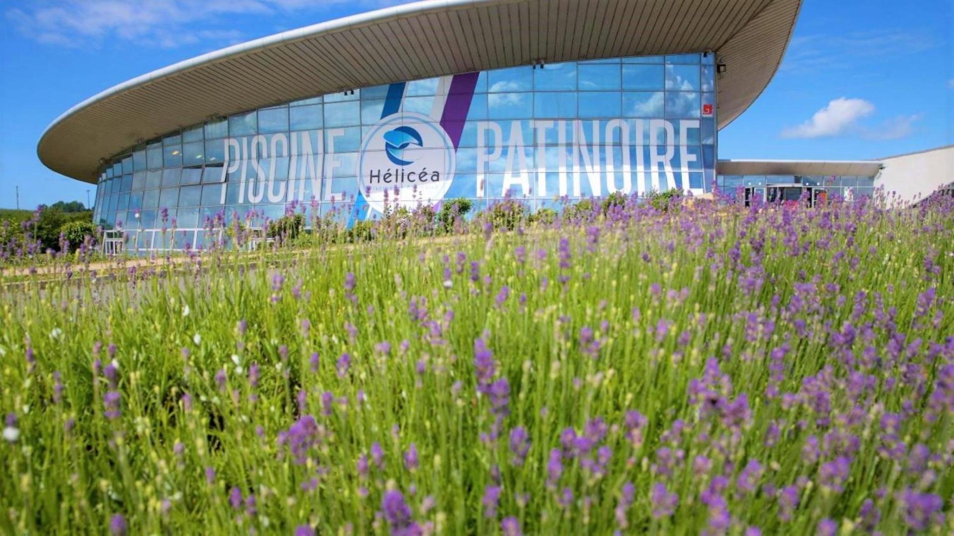 Appartamento Au Jardin De La Basilique Boulogne-sur-Mer Esterno foto